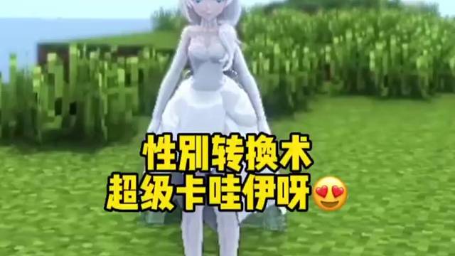 我的世界：我什么时候变成女的啦，不过还挺卡哇伊的