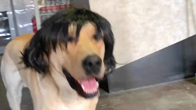 头套掉下来那一瞬间，确实挺尴尬的！