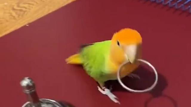 工厂老板最喜欢的员工