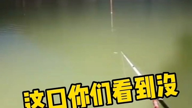 猜猜什么鱼，不看到最后你能猜出来是什么鱼吗