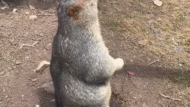 喝冰可乐就是爽