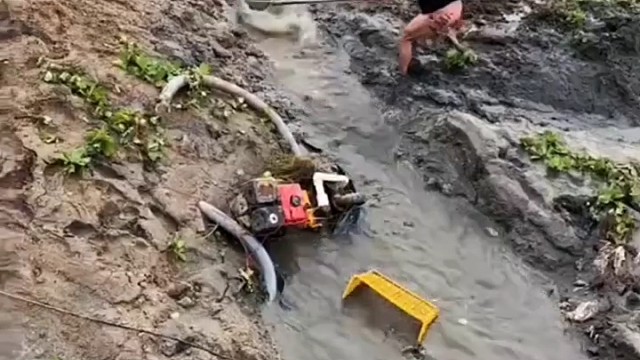 抄个鱼快把自己绕晕了