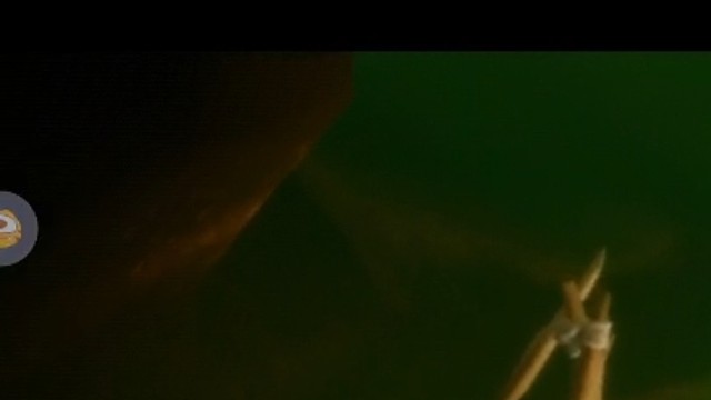 20220828没有在暮土烤螃蟹是不完整的！