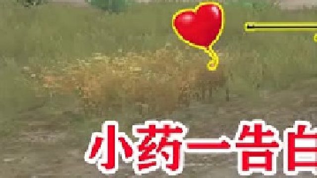 这次小药豁出去了，居然主动向路人“告白”，你猜这是啥任务？（一）  