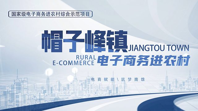 帽子峰镇电子商务进农村