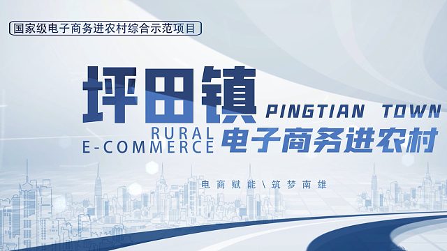 坪田镇电子商务进农村
