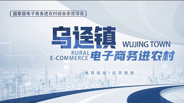 乌迳镇电子商务进农村