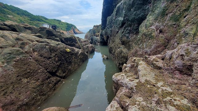 低潮坑好货层出不穷，小明越抓越来劲，却突遇涨潮不然抓得更多