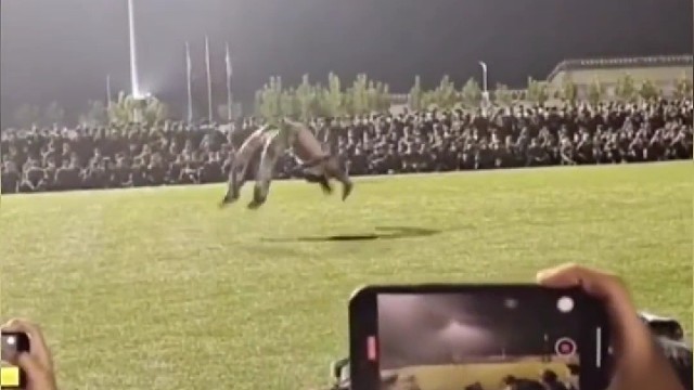 这辈子一定要去大学看一次军训