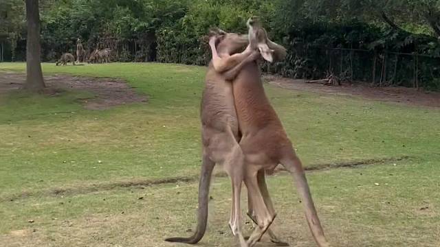 为啥我有一种不真实的感觉，好像在看科幻片
