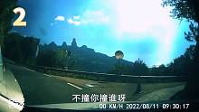 后车漂移360度躲避！只因前车双闪开慢了半拍，记录仪还原现场  第二集