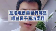 电商蓝海类目有哪些 哪些属于蓝海类目