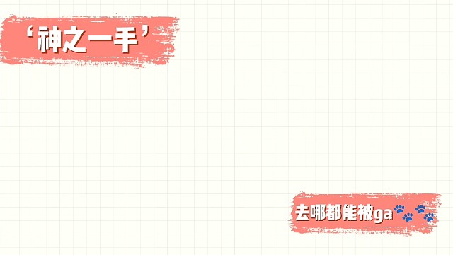 【胖媛苟分日常】又是拴Q的一天②