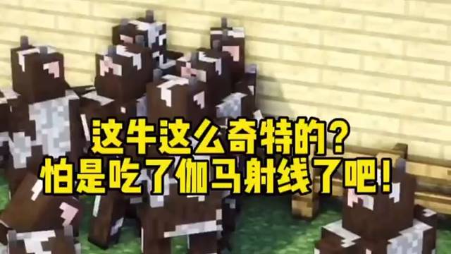 我的世界：这马长成这样，怕是吃了伽马射线了哦