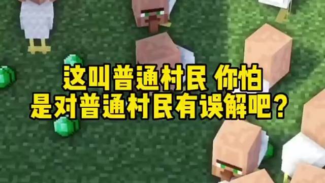 我的世界：这叫普通村？你怕是对普通村民有误解哦