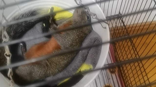 亲亲你眼睛咋不闭上呢？？