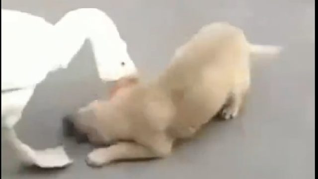 三十年河东，三十年河西，莫欺少年穷！！