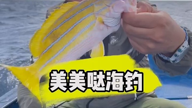 这是什么有，贼漂亮了