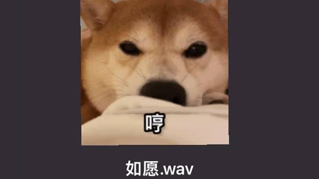 初来虎牙！还请各位哥哥姐姐们多关照关照！