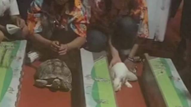 现实版的龟兔赛跑，所以，认准目标，心无旁骛一路向前吧