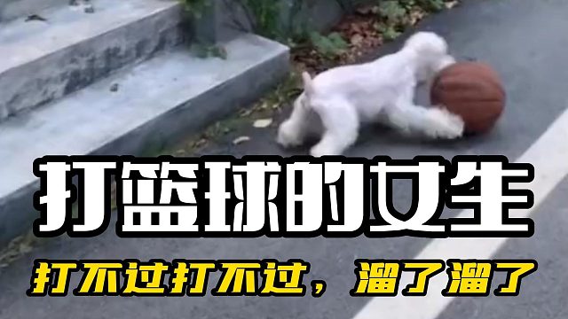 打不过打不过，溜了溜了