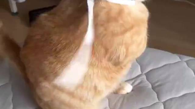 “猛男带什么的！快给爷解开！”