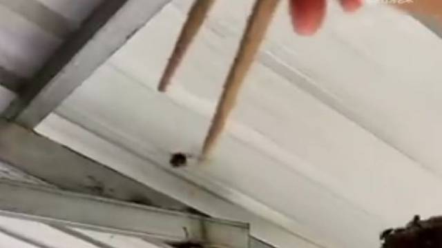 爱打马蜂的小哥哥一枚呀～