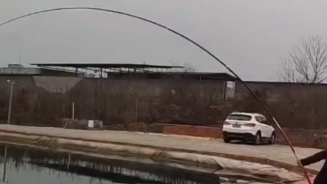 中了个大家伙，杆都弯成弓了