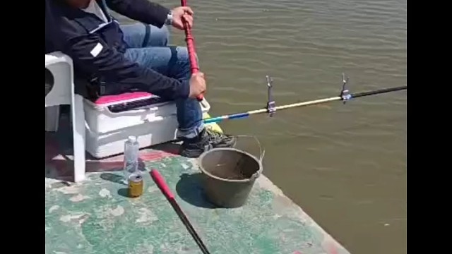 钓友人气爆棚一天几十个w