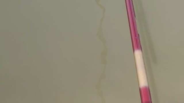 这鱼好饿哦，吃到喉咙里了