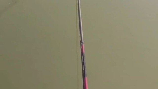 黑马钓场钓新鱼