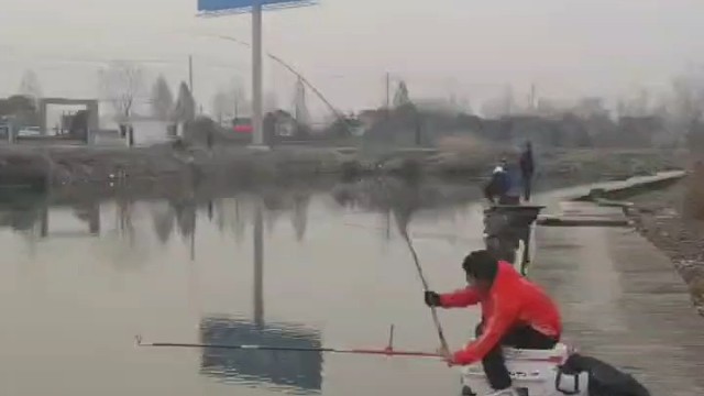 又被青鱼拔河了