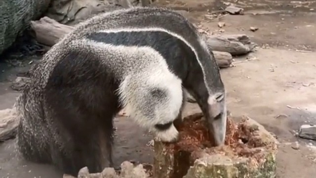 吃东西好可爱啊