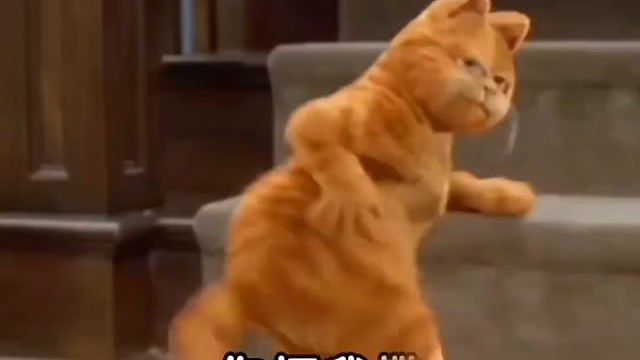 还不拿去挨打用