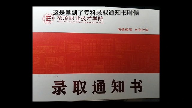 大二之前的摆烂