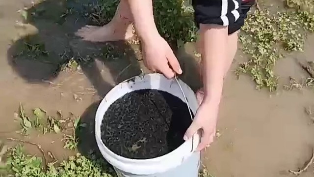 这个夏天，村里人谁也别想睡觉