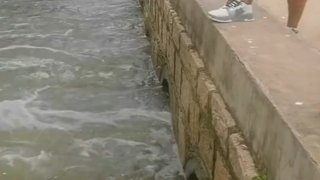 鱼儿来跳跃起来