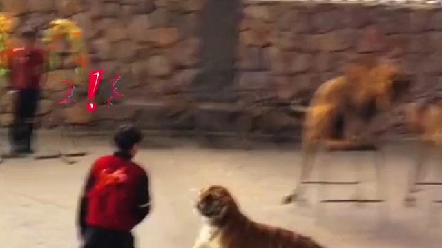 大哥，你后退一步