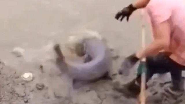 钓鱼人的失手场面