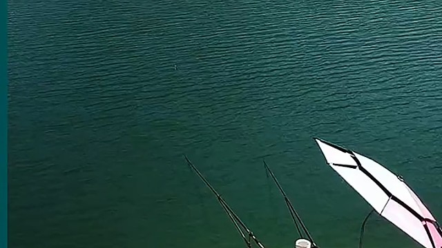 这也太不把钓鱼人放眼里了