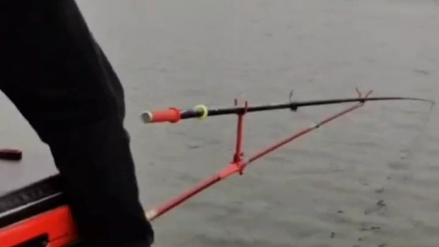 这鱼太饿了，杆子刚下去就咬口了