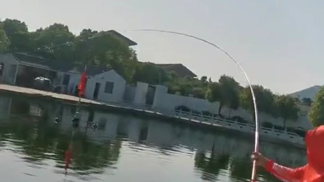 喜中红标，可惜不算