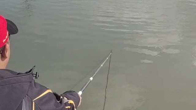 把鱼孙子都钓上来了