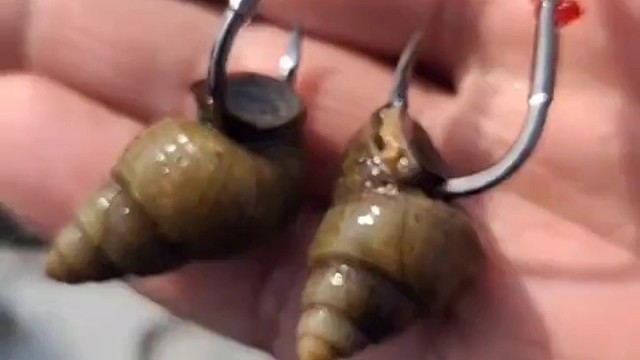 挂螺丝无铅钓法