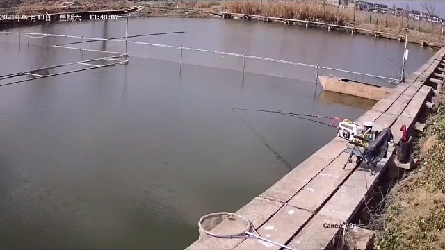 上个厕所鱼箱被拖走了