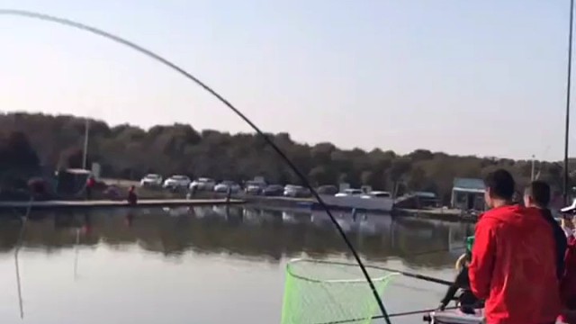 这大鱼是网太小了还是鱼太大了