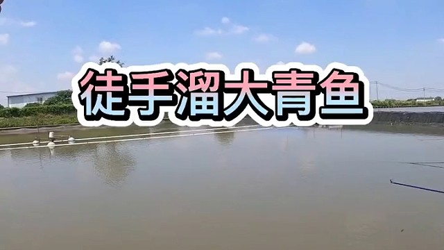 徒手遛大青鱼