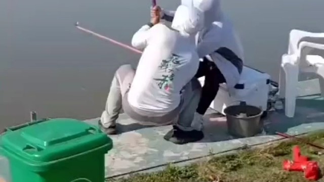 中巨物两个人拔河