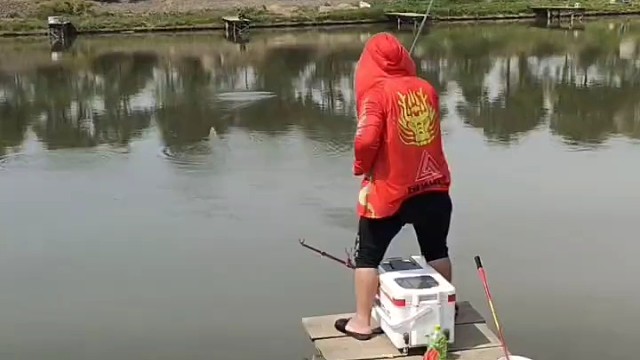 都中鱼了，你还在打窝