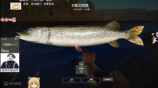 30圖——星狗子